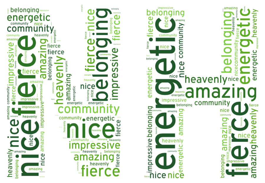 Each new faculty member described their first impression of Nerinx in one word.
