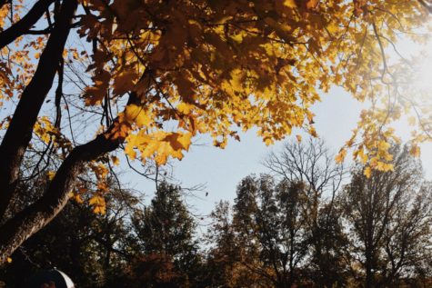 The Roots of the American Thanksgiving