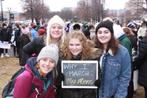 Why I Marched: A Perspective from the Women’s March